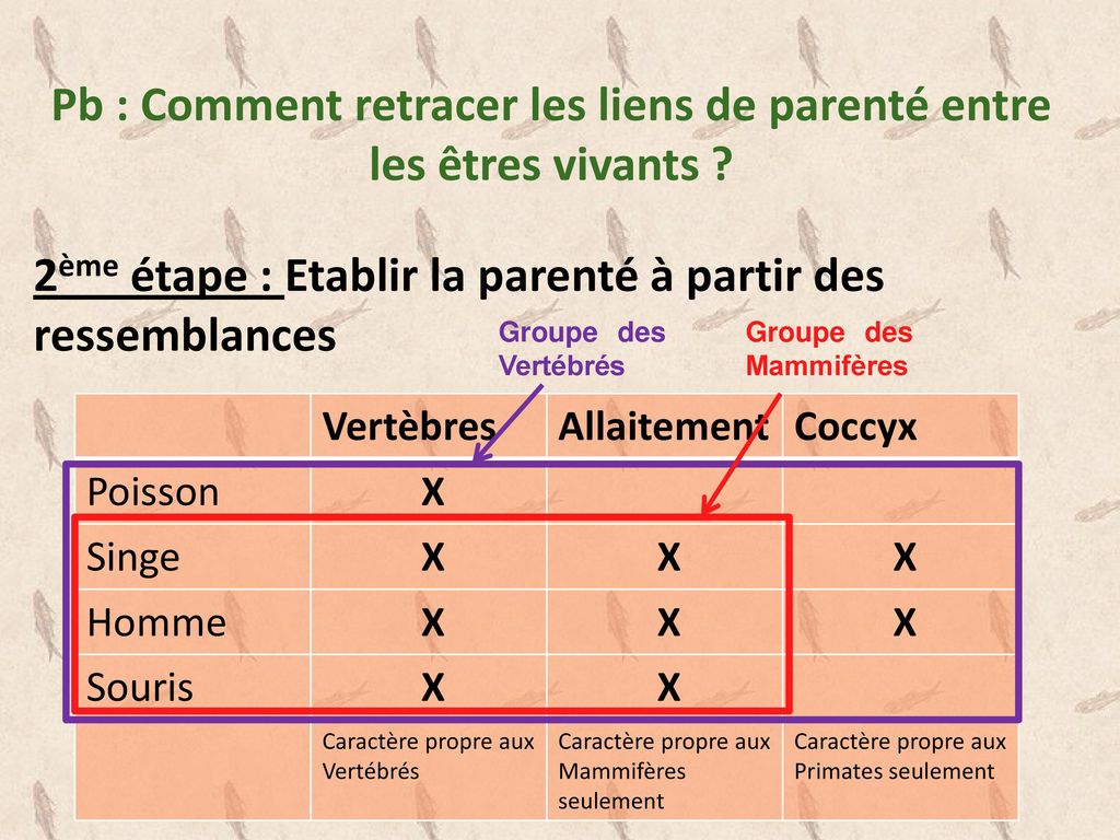 Rappels de sixi me La classification en ensembles embo t s est une